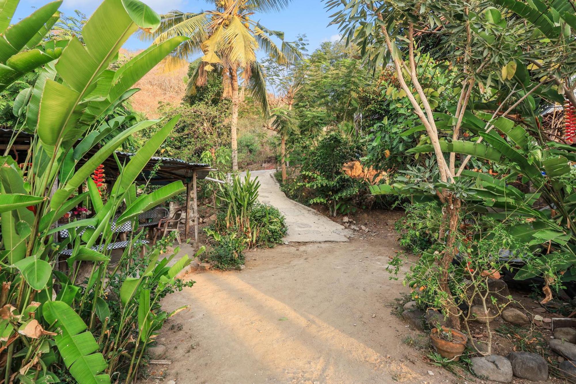 Palulu Garden Homestay ラブハン・バジョ エクステリア 写真